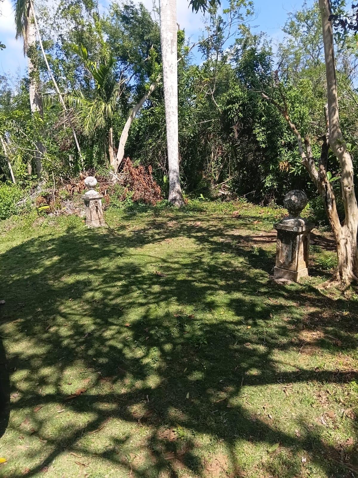 Seventh image of Great River Private in Adelphi, St. James, Jamaica - property is For Sale