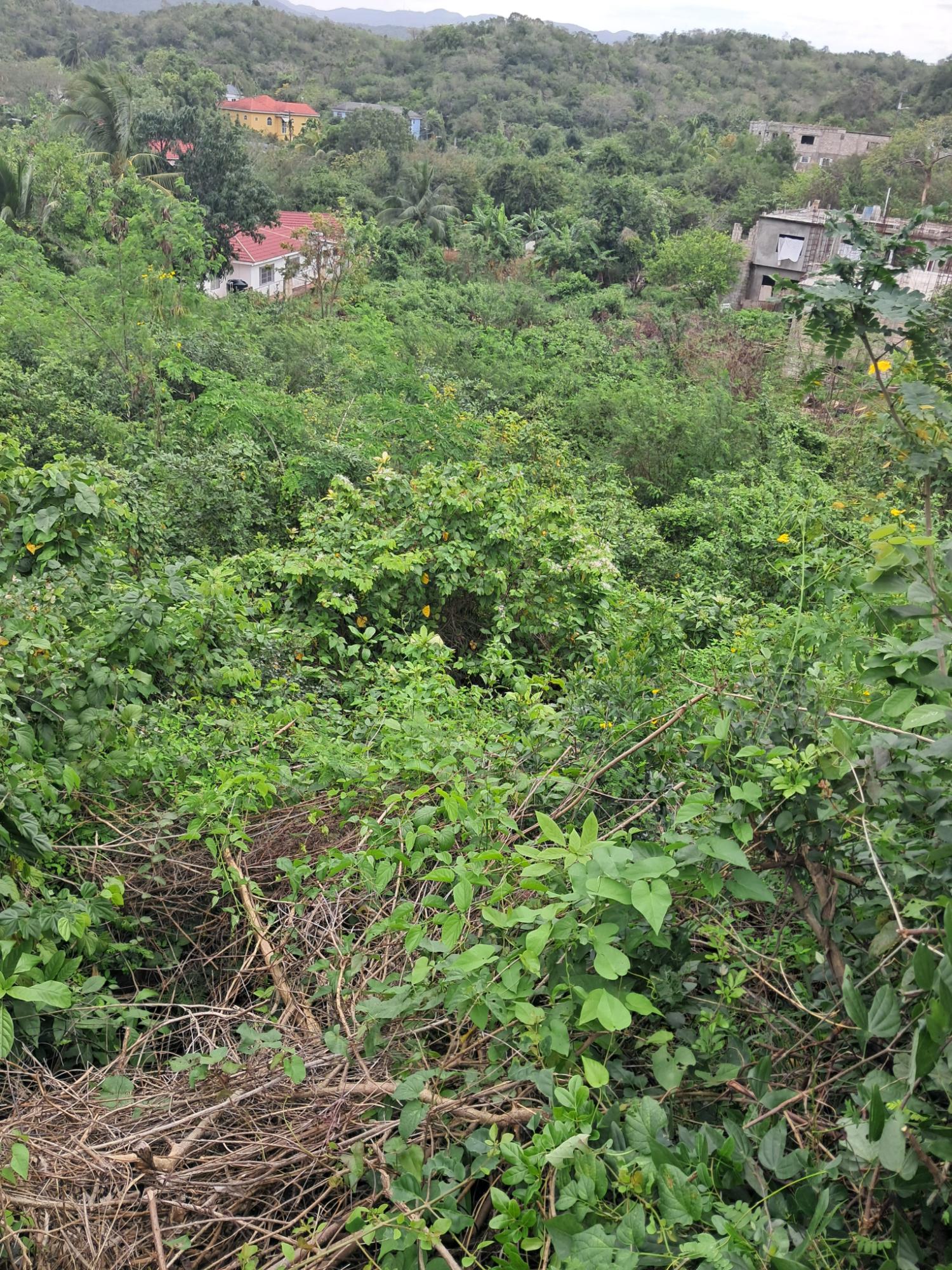 Second image of 129 Mahoe Avenue in Keystone, St. Catherine, Jamaica - property is For Sale