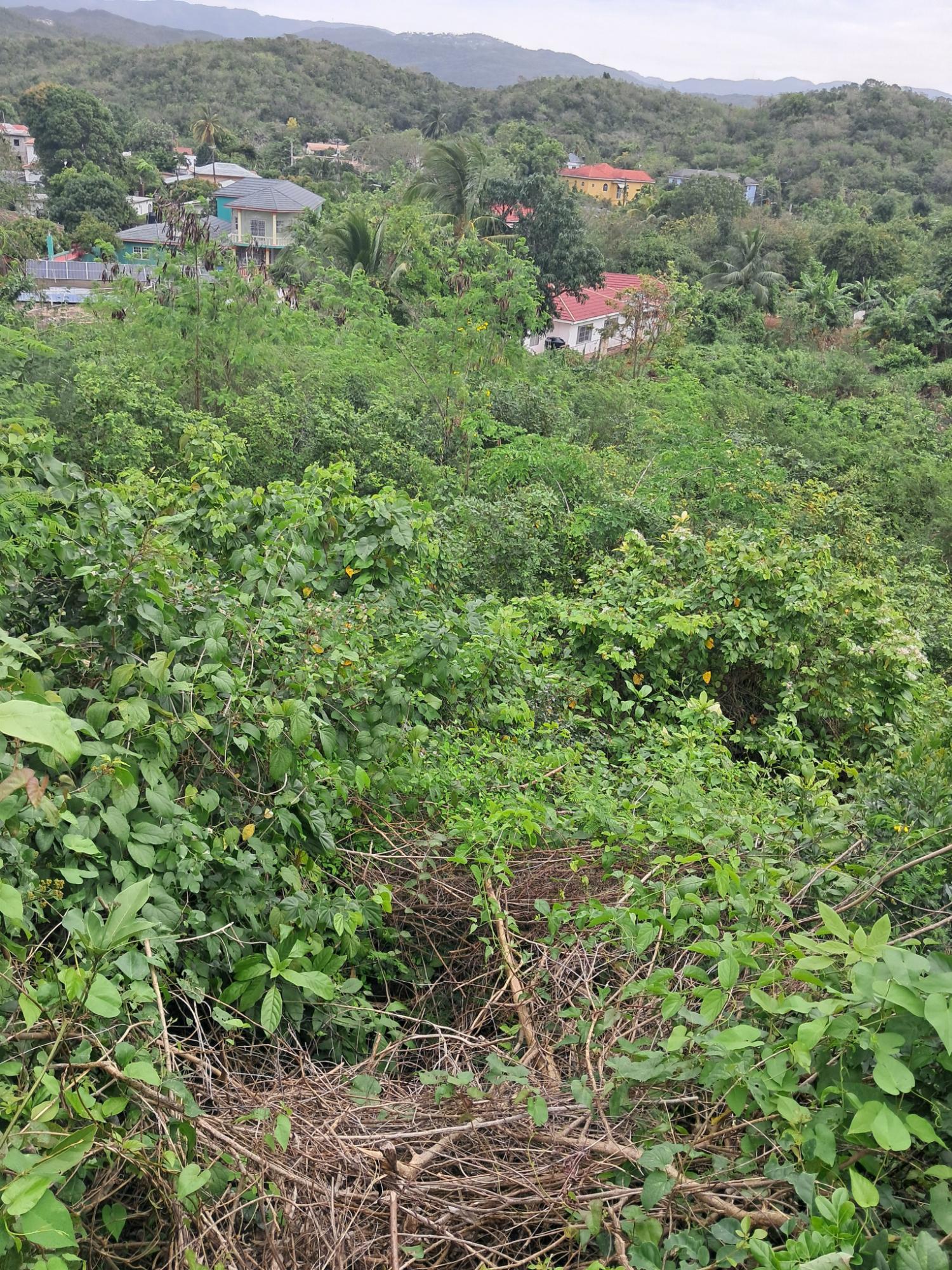 Third image of 129 Mahoe Avenue in Keystone, St. Catherine, Jamaica - property is For Sale