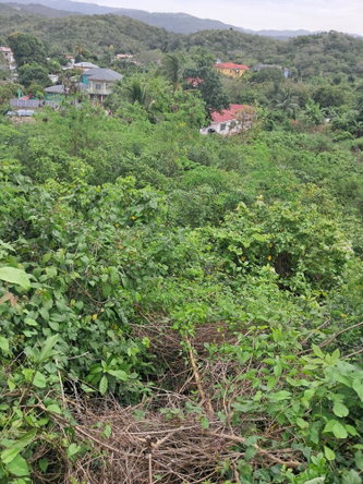 Third image of 129 Mahoe Avenue in Keystone, St. Catherine, Jamaica - property is For Sale