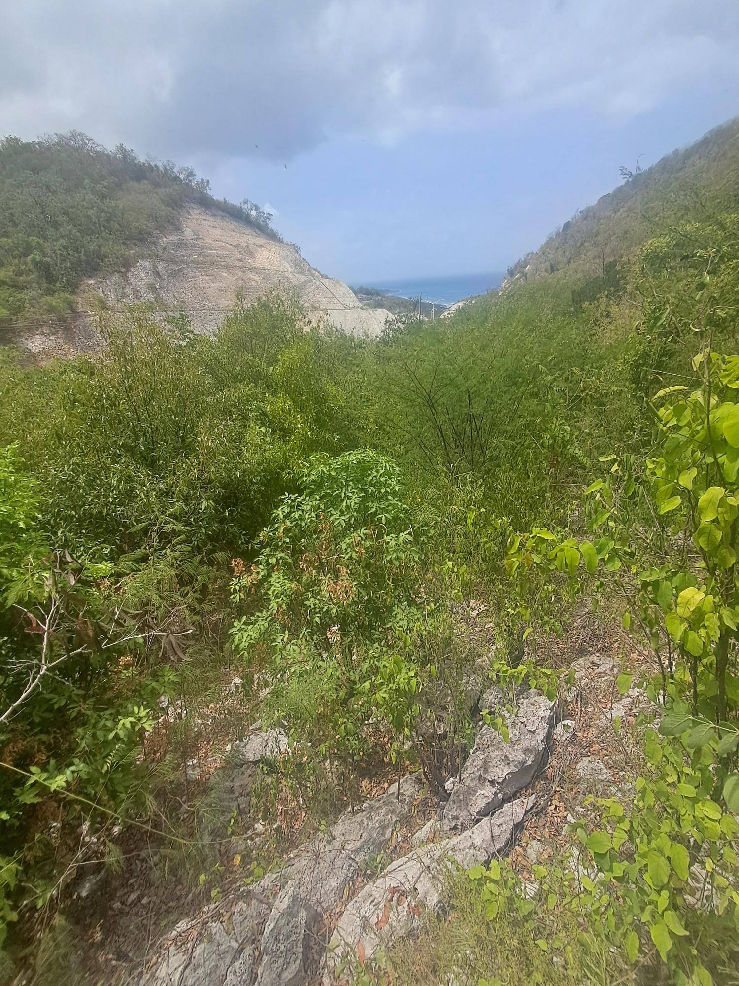 Second image of 363 Mezgar Gardens in Albion, St. Thomas, Jamaica - property is For Sale