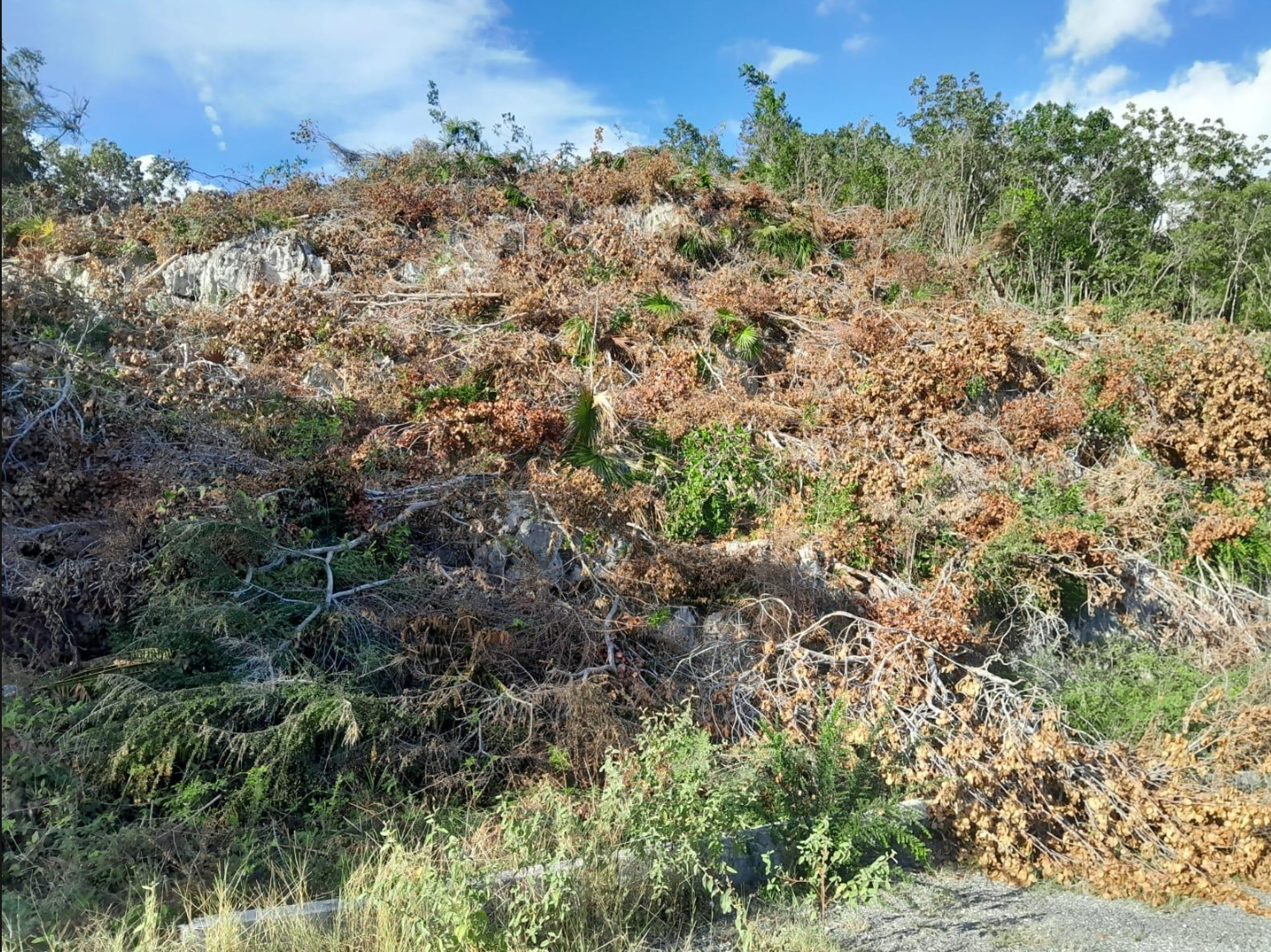 Second image of 62 st Jago Hills in St. Jago Heights, St. Catherine, Jamaica - property is For Sale