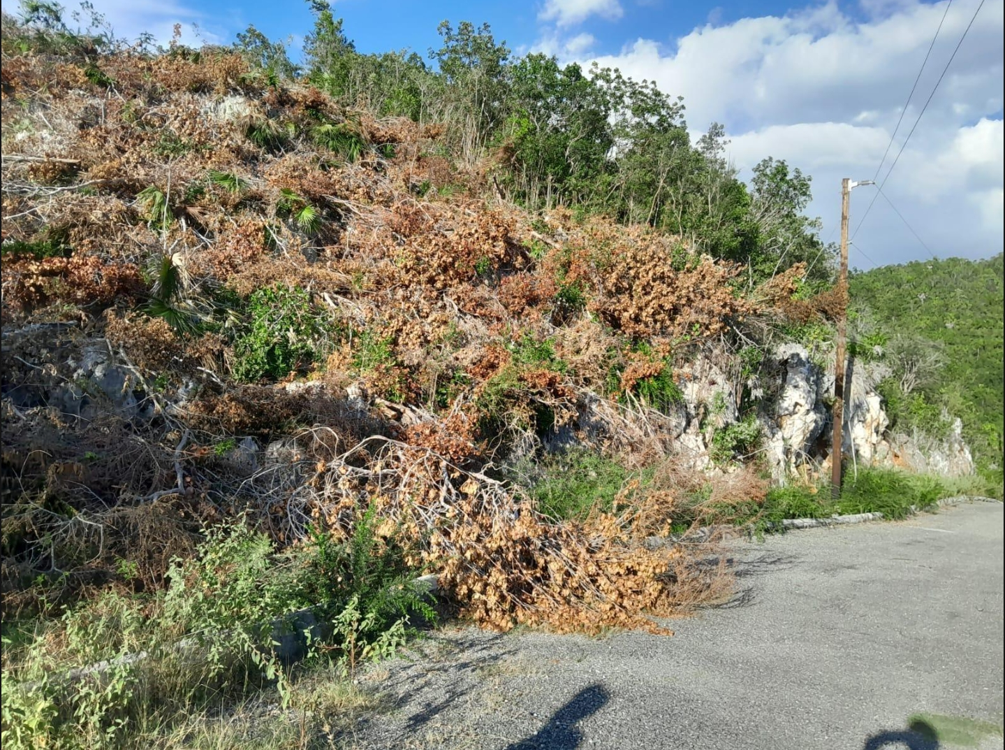 Third image of 62 st Jago Hills in St. Jago Heights, St. Catherine, Jamaica - property is For Sale