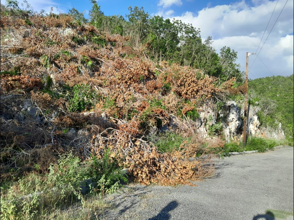 Third image of 62 st Jago Hills in St. Jago Heights, St. Catherine, Jamaica - property is For Sale