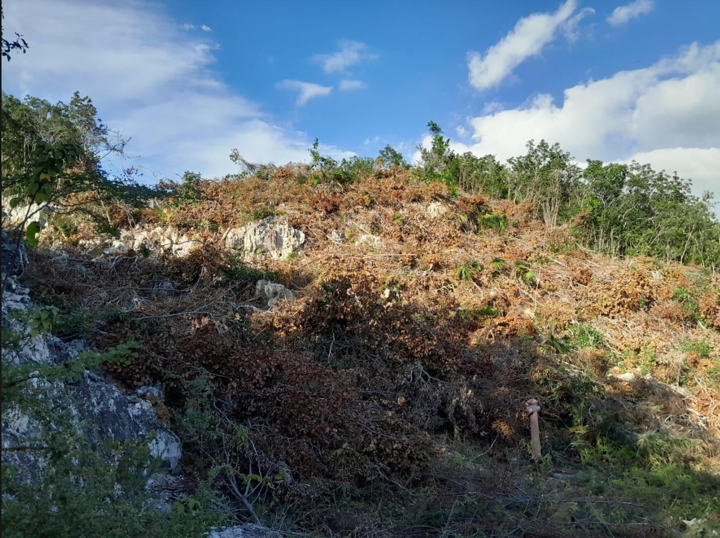 Fourth image of 62 st Jago Hills in St. Jago Heights, St. Catherine, Jamaica - property is For Sale