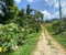 First image of 4 Somerset Manchester in Somerset, Manchester, Jamaica - property is For Sale