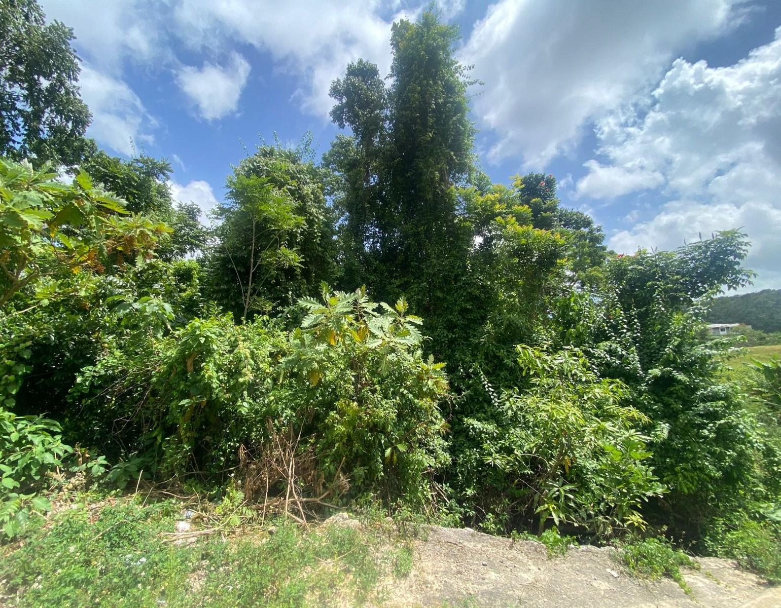 Second image of 4 Somerset Manchester in Somerset, Manchester, Jamaica - property is For Sale