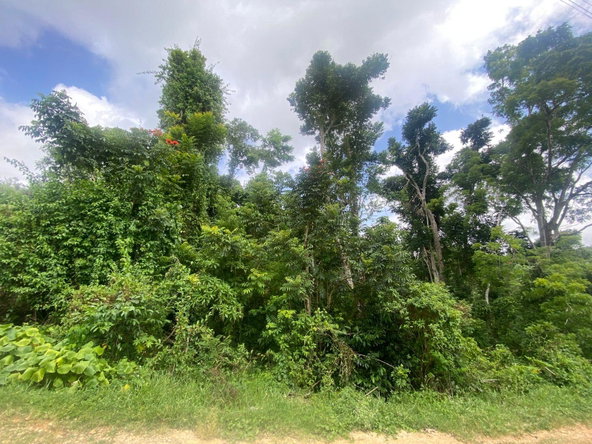 Third image of 4 Somerset Manchester in Somerset, Manchester, Jamaica - property is For Sale
