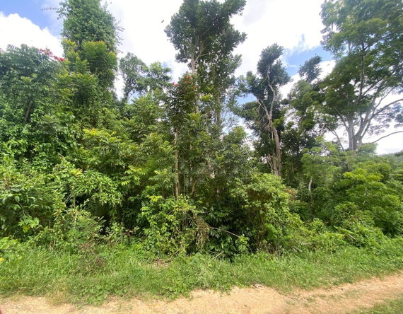 Fourth image of 4 Somerset Manchester in Somerset, Manchester, Jamaica - property is For Sale