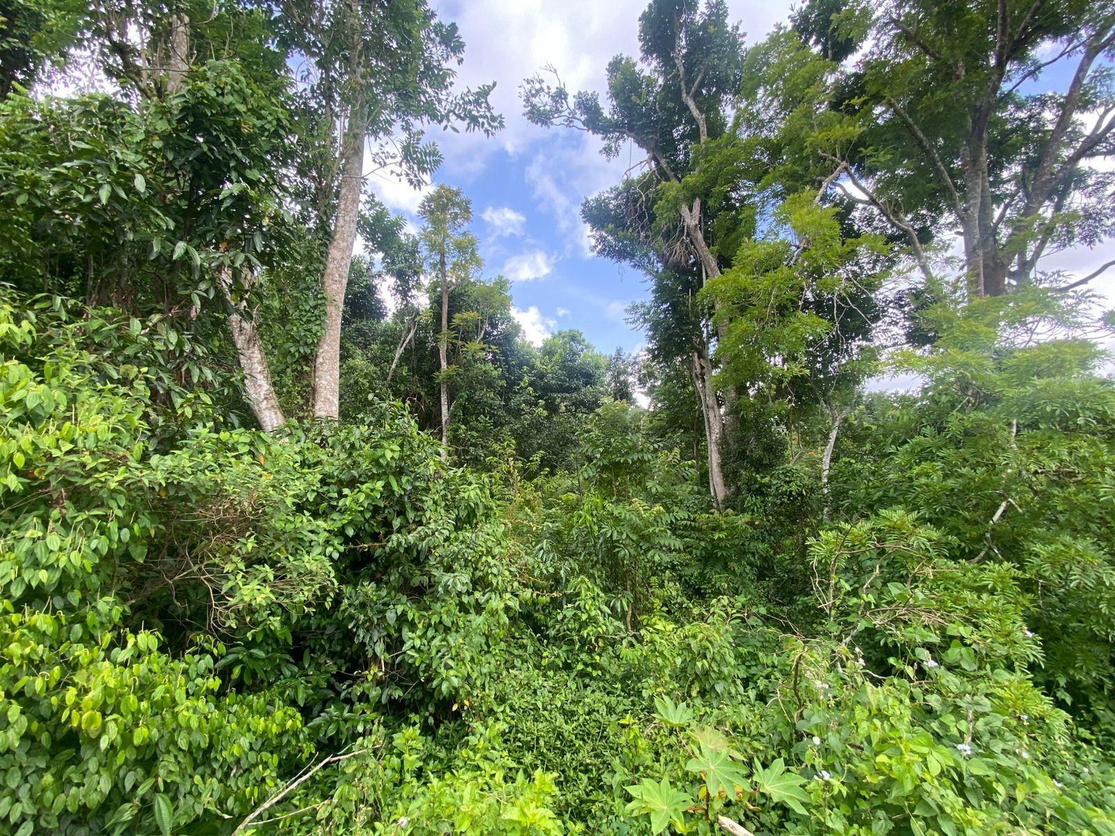 Fifth image of 4 Somerset Manchester in Somerset, Manchester, Jamaica - property is For Sale