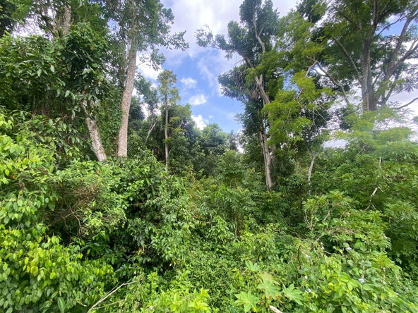 Fifth image of 4 Somerset Manchester in Somerset, Manchester, Jamaica - property is For Sale
