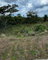 First image of 32 Negril Estate in Negril, Westmoreland, Jamaica - property is For Sale