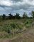 First image of 79 Negril Estate in Negril, Westmoreland, Jamaica - property is For Sale