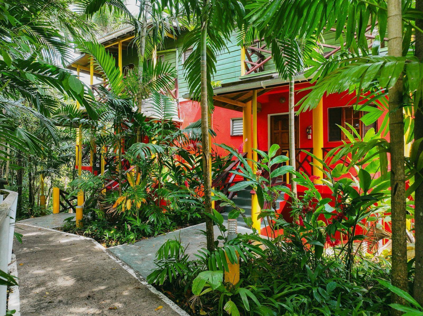 Fifteenth image of 18 Anchovy Portland in Port Antonio, Portland, Jamaica - property is For Sale