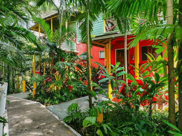 Fifteenth image of 18 Anchovy Portland in Port Antonio, Portland, Jamaica - property is For Sale