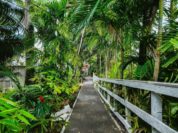 Seventeenth image of 18 Anchovy Portland in Port Antonio, Portland, Jamaica - property is For Sale