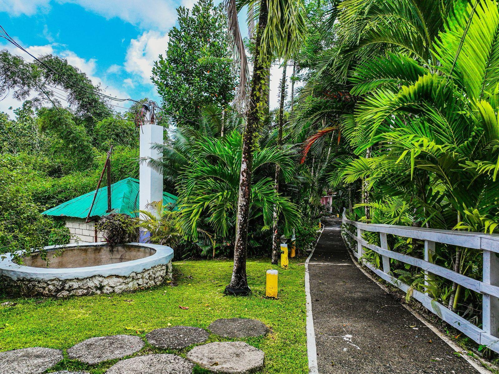 Eighteenth image of 18 Anchovy Portland in Port Antonio, Portland, Jamaica - property is For Sale