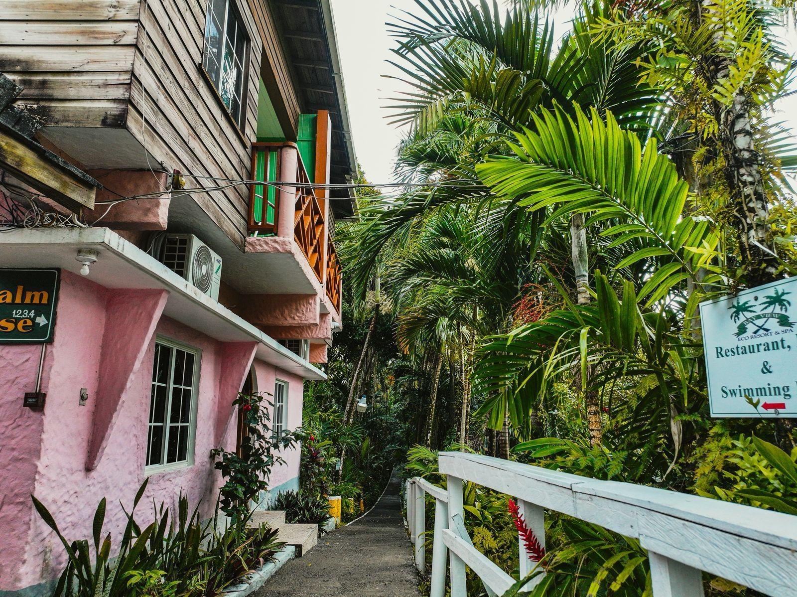Twentieth image of 18 Anchovy Portland in Port Antonio, Portland, Jamaica - property is For Sale