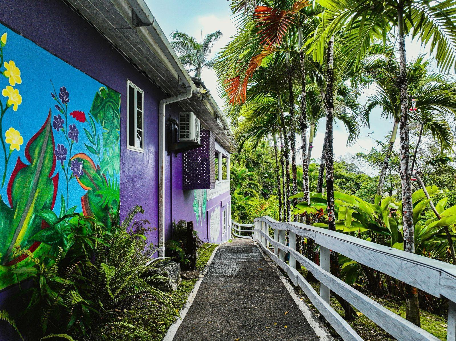 Twenty-Third image of 18 Anchovy Portland in Port Antonio, Portland, Jamaica - property is For Sale
