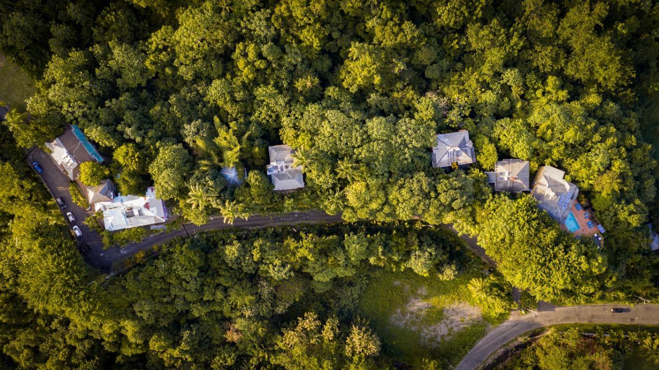 Twenty-Sixth image of 18 Anchovy Portland in Port Antonio, Portland, Jamaica - property is For Sale