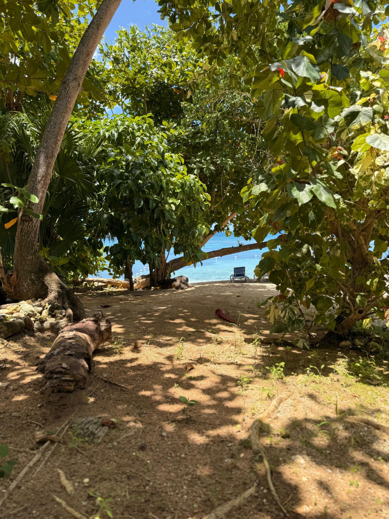 Twenty-Fourth image of 22-2b- Little Bay Country Club in Negril, Westmoreland, Jamaica - property is For Sale