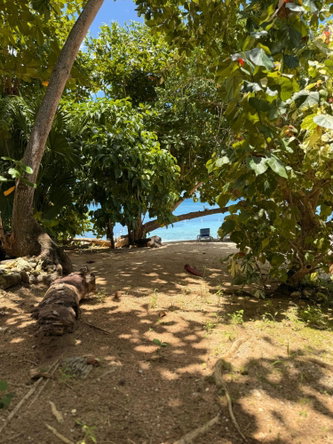 Twenty-Fourth image of 22-2b- Little Bay Country Club in Negril, Westmoreland, Jamaica - property is For Sale
