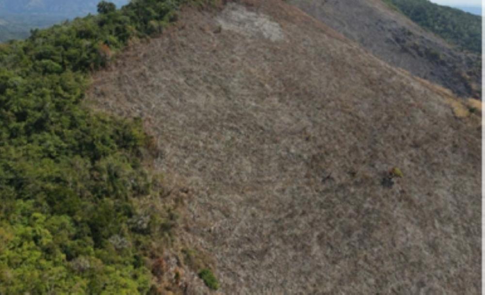 Second image of Mount George in Yallahs, St. Thomas, Jamaica - property is For Sale