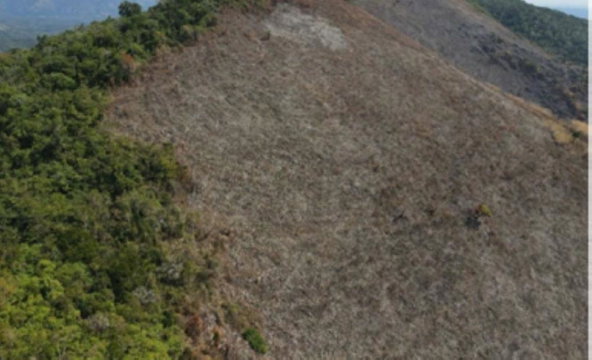 Second image of Mount George in Yallahs, St. Thomas, Jamaica - property is For Sale