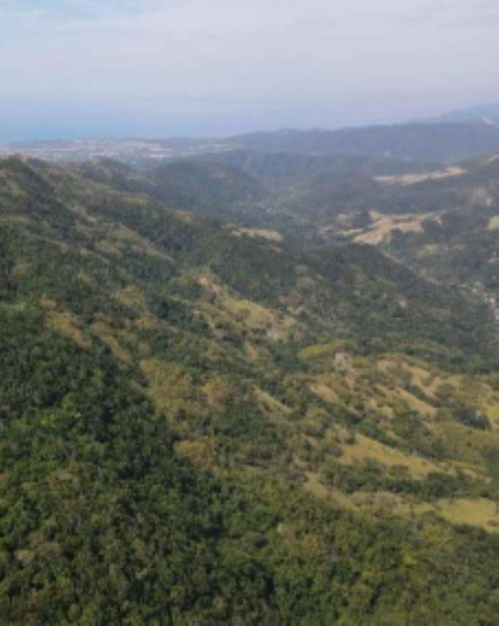 Third image of Mount George in Yallahs, St. Thomas, Jamaica - property is For Sale