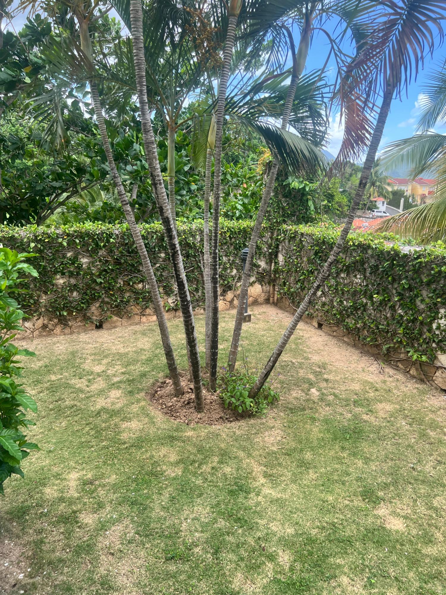 Twenty-Fourth image of 6-16-18 Russell Heights in Kingston 8, St. Andrew, Jamaica - property is For Rent