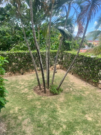 Twenty-Fourth image of 6-16-18 Russell Heights in Kingston 8, St. Andrew, Jamaica - property is For Rent