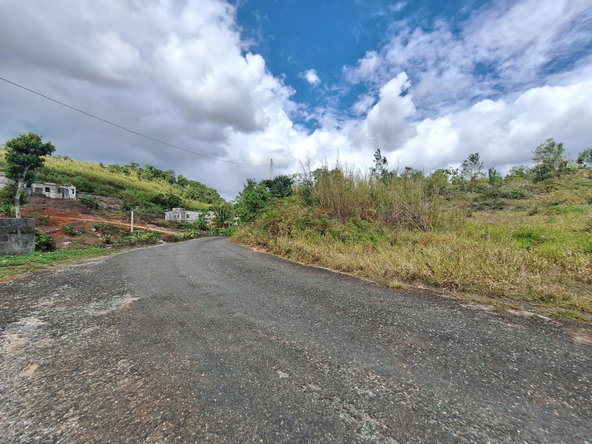 Eighth image of Lot 25 Hopeton Pen in Mandeville, Manchester, Jamaica - property is For Sale