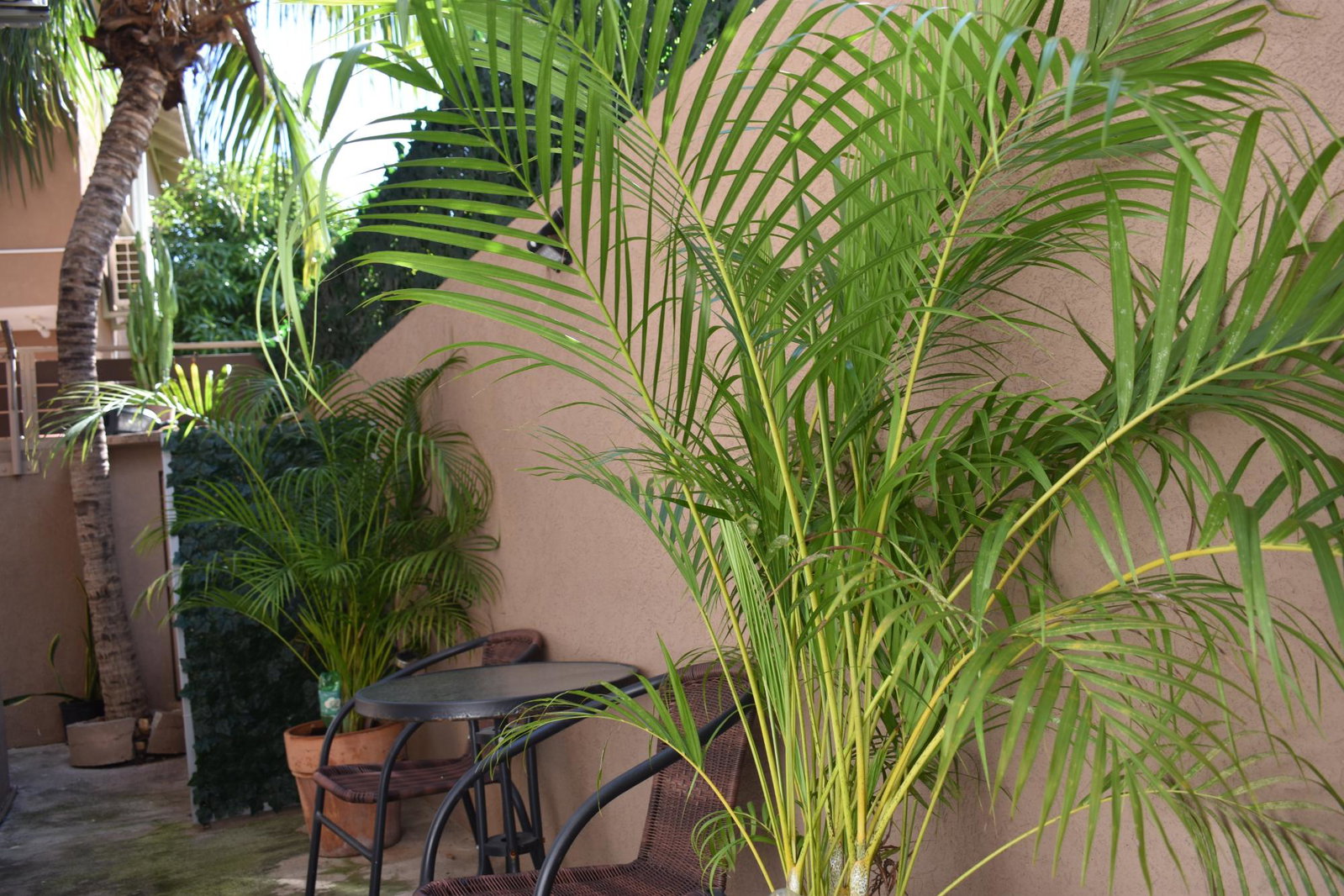 Fifth image of 3-73 Fort de France Street in Caribbean Estates, St. Catherine, Jamaica - property is For Rent
