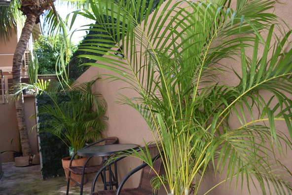 Fifth image of 3-73 Fort de France Street in Caribbean Estates, St. Catherine, Jamaica - property is For Rent