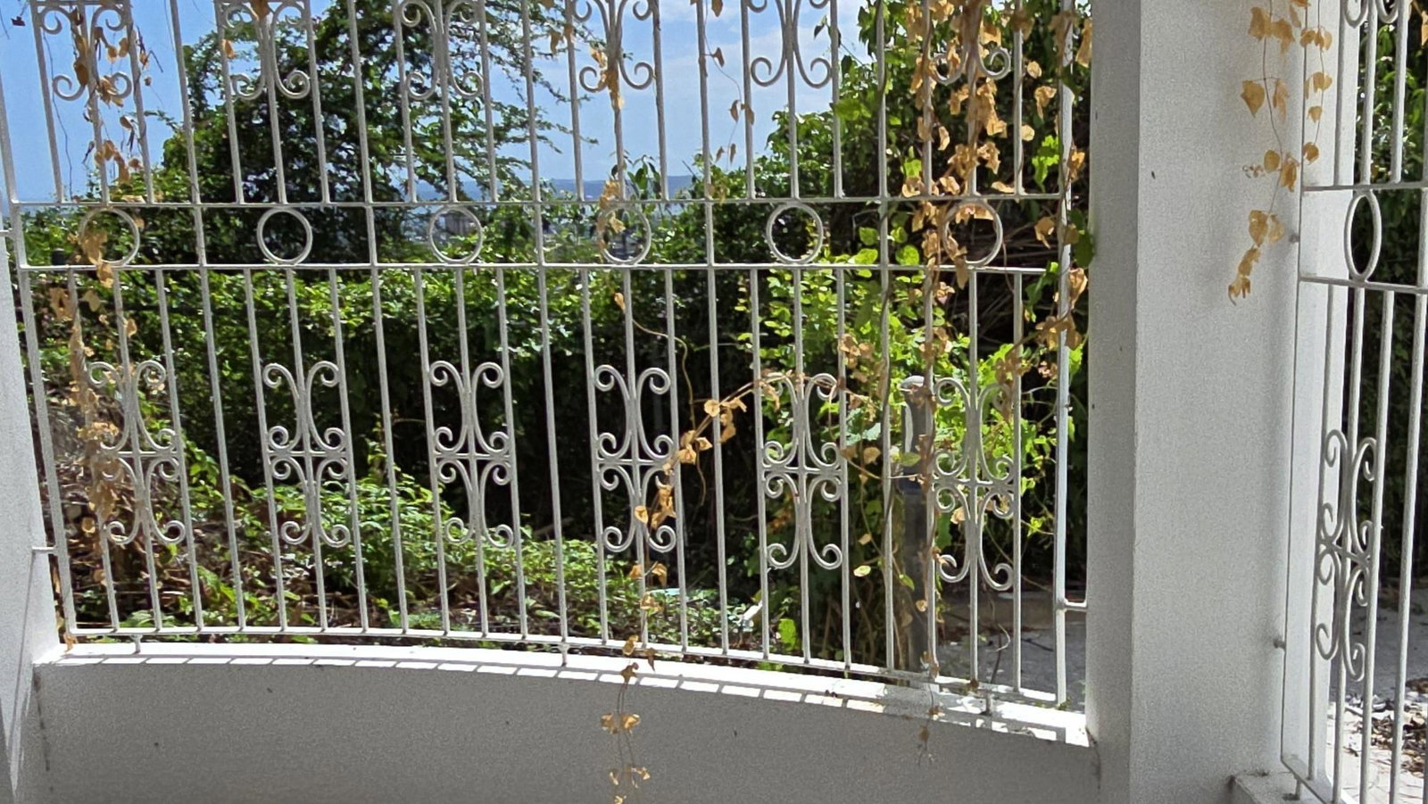 Eighth image of Apt D-30 Beverly Drive in Kingston 6, St. Andrew, Jamaica - property is For Rent
