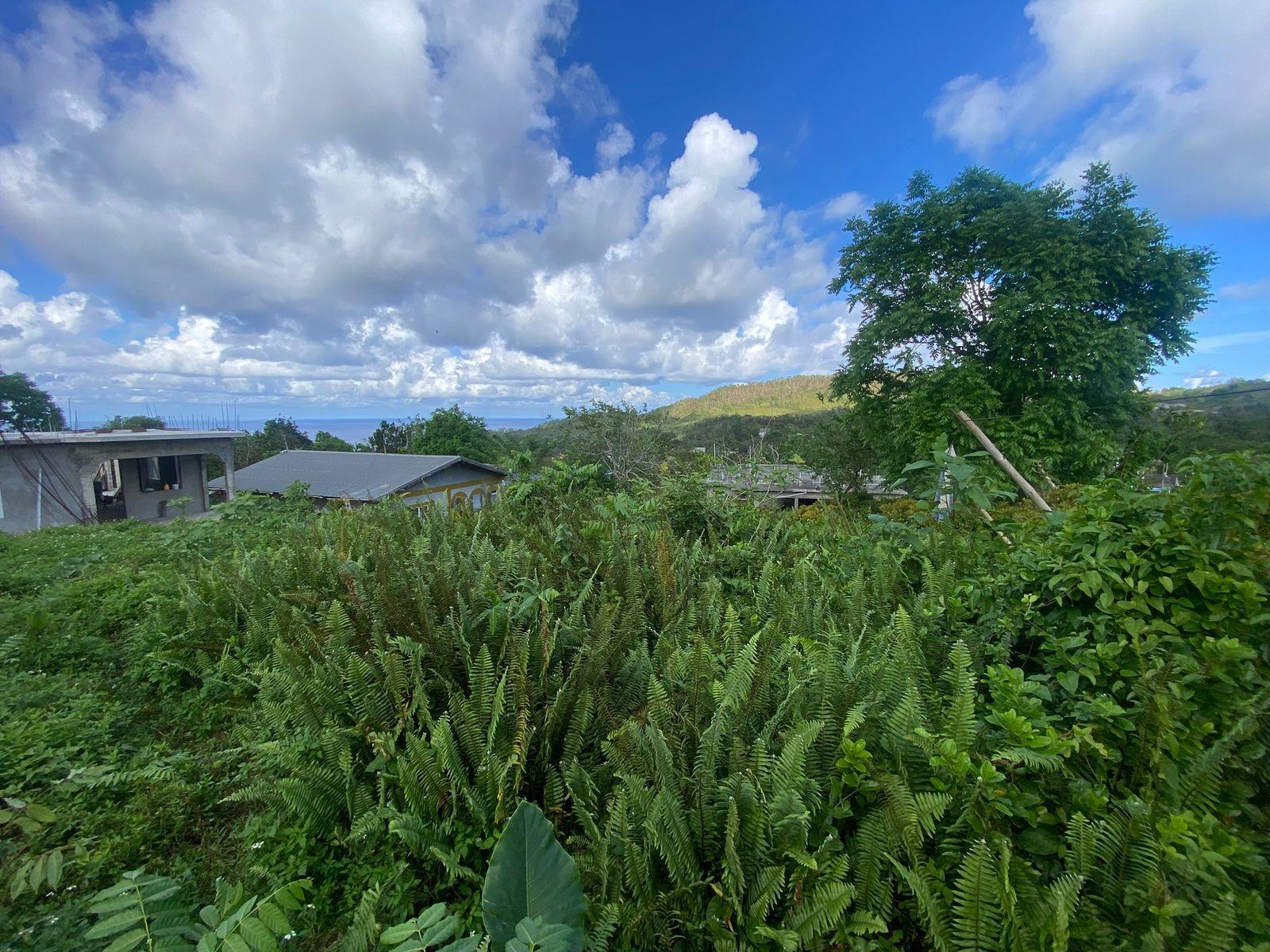 Second image of Sherwood Forest, Portland in Sherwood Forest, Portland, Jamaica - property is For Sale