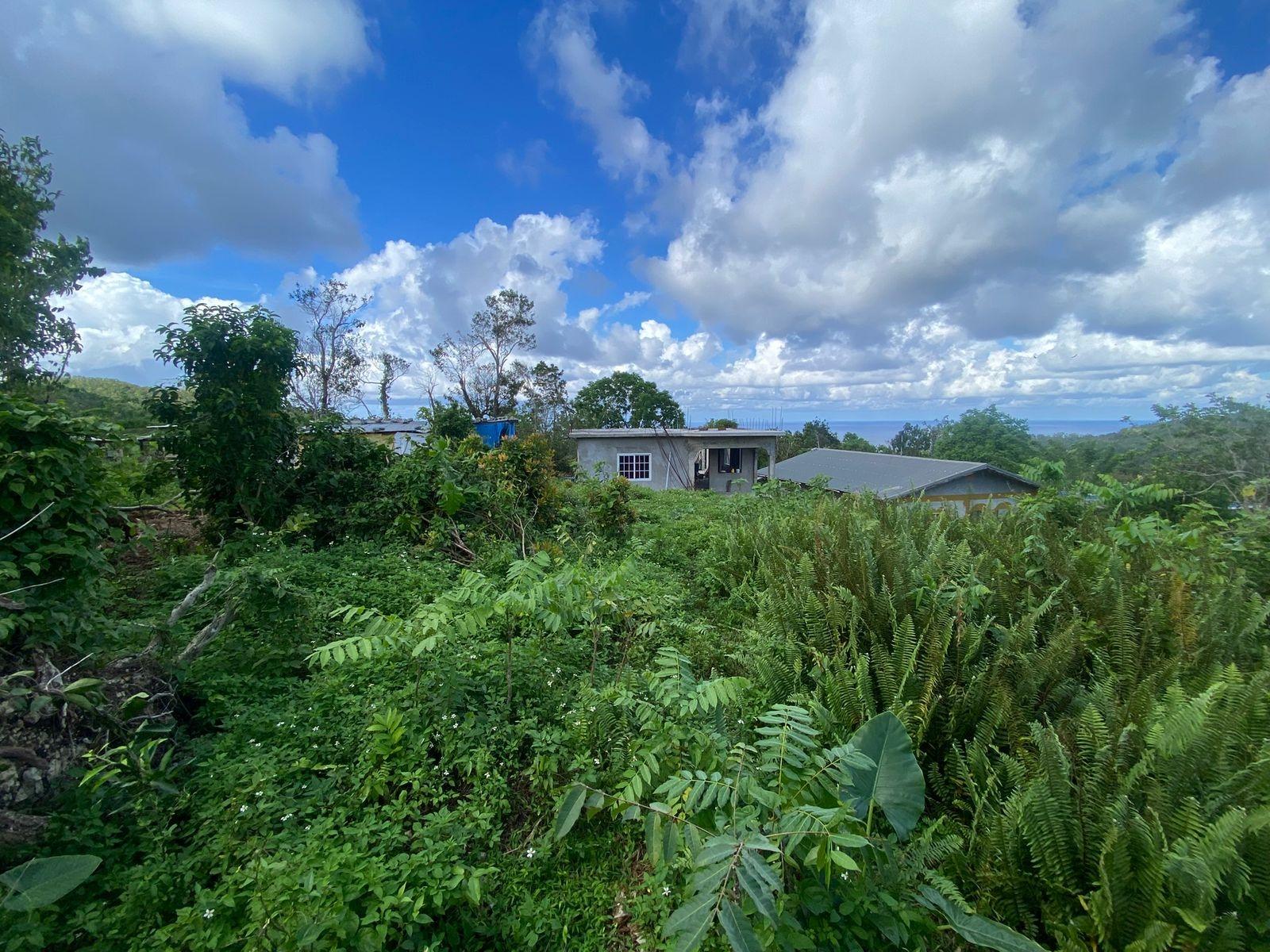 Third image of Sherwood Forest, Portland in Sherwood Forest, Portland, Jamaica - property is For Sale