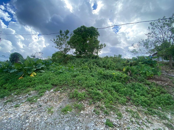 Fourth image of Sherwood Forest, Portland in Sherwood Forest, Portland, Jamaica - property is For Sale