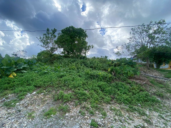 Seventh image of Sherwood Forest, Portland in Sherwood Forest, Portland, Jamaica - property is For Sale