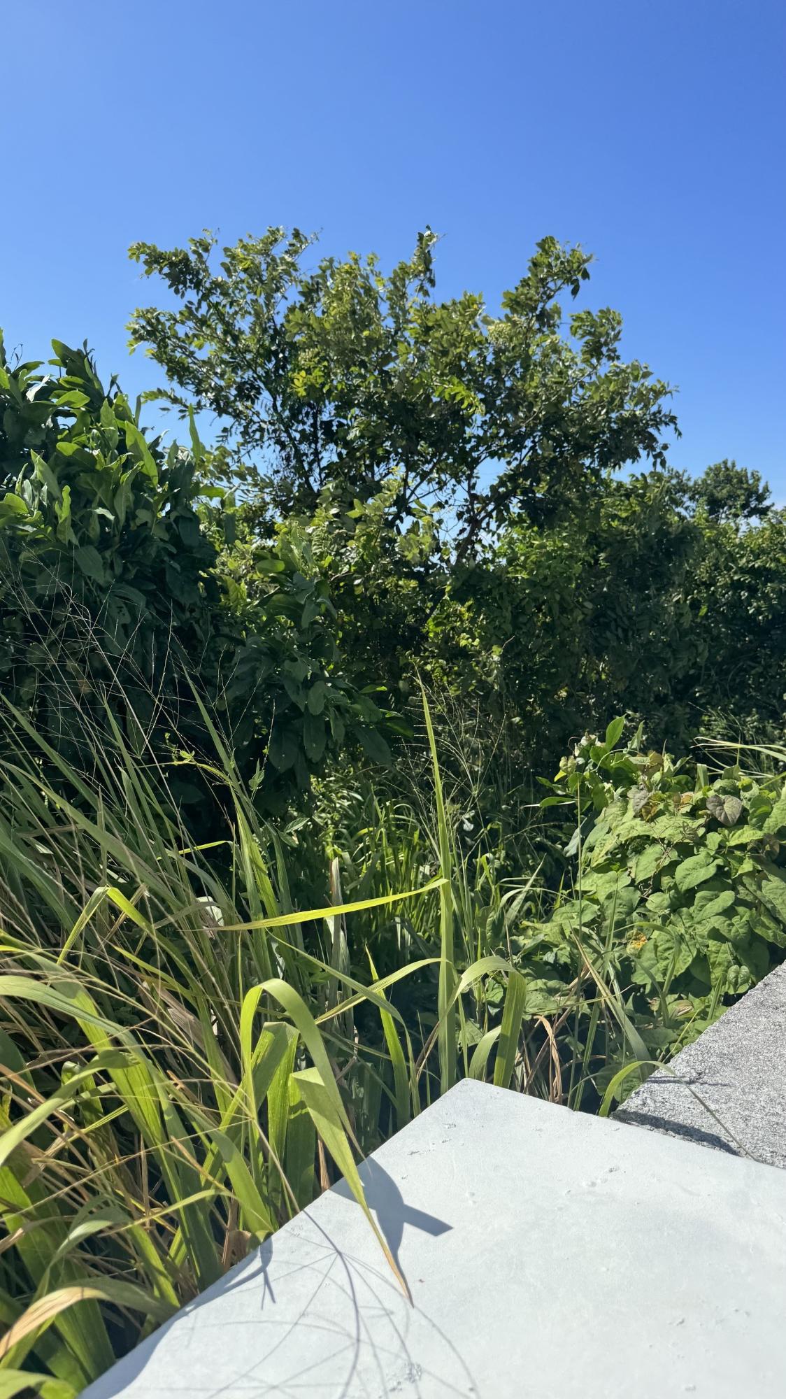 First image of Lot 153 Caribbean Park, Tower Isl in Tower Isle, St. Mary, Jamaica - property is For Sale