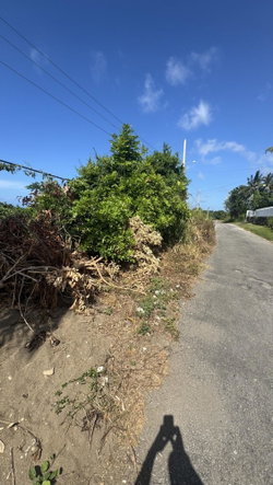 Second image of Lot 153 Caribbean Park, Tower Isl in Tower Isle, St. Mary, Jamaica - property is For Sale