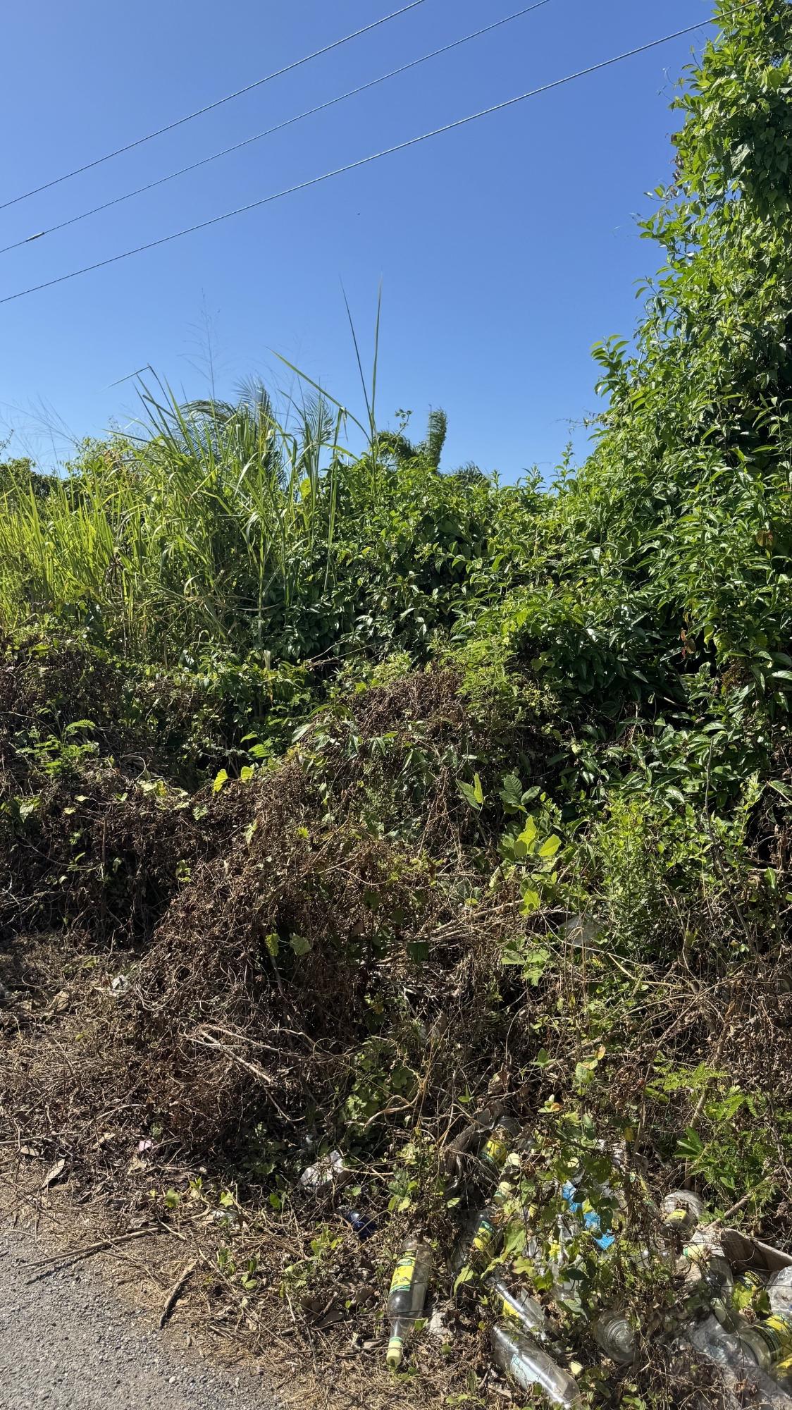 Fourth image of Lot 153 Caribbean Park, Tower Isl in Tower Isle, St. Mary, Jamaica - property is For Sale