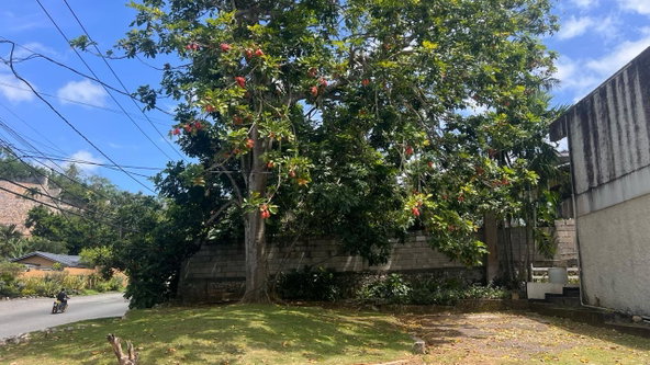 Ninth image of 1-24 Stony Hill Road in Stony Hill P.O., St. Andrew, Jamaica - property is For Sale