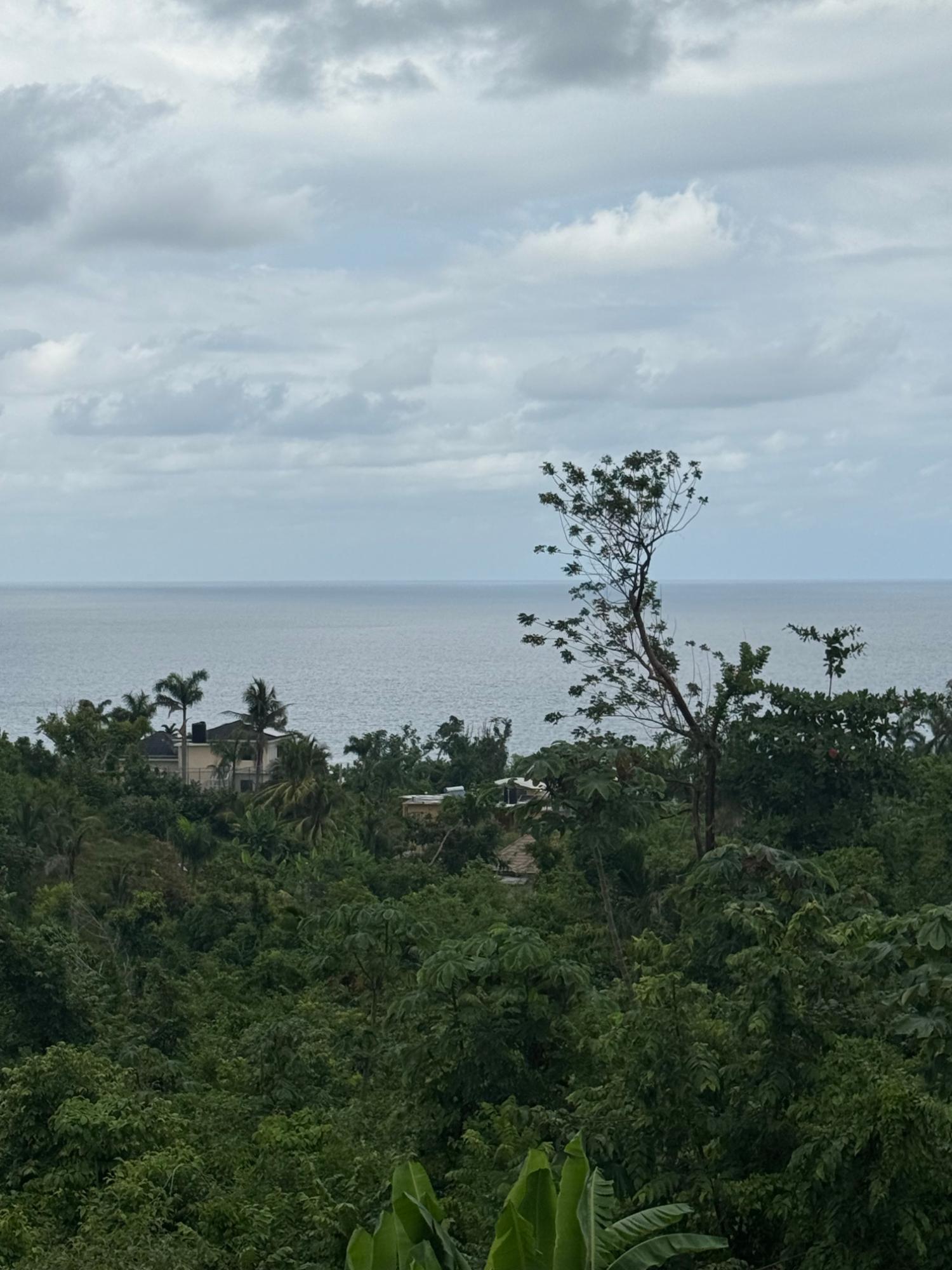 Thirteenth image of Unity Hall Rhynie Drive in Reading, St. James, Jamaica - property is For Sale