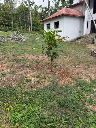 Twentieth image of Unity Hall Rhynie Drive in Reading, St. James, Jamaica - property is For Sale
