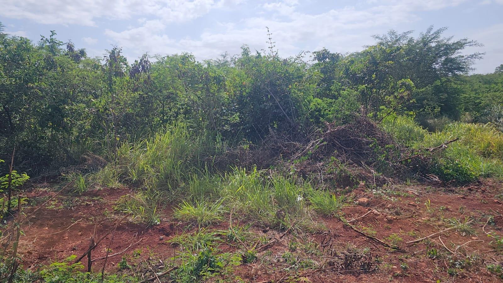 Second image of 116a St.matthews Way,green Acr in Green Acres, St. Catherine, Jamaica - property is For Sale