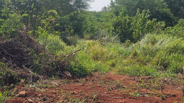 Fourth image of 116a St.matthews Way,green Acr in Green Acres, St. Catherine, Jamaica - property is For Sale