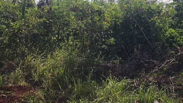 Fifth image of 116a St.matthews Way,green Acr in Green Acres, St. Catherine, Jamaica - property is For Sale