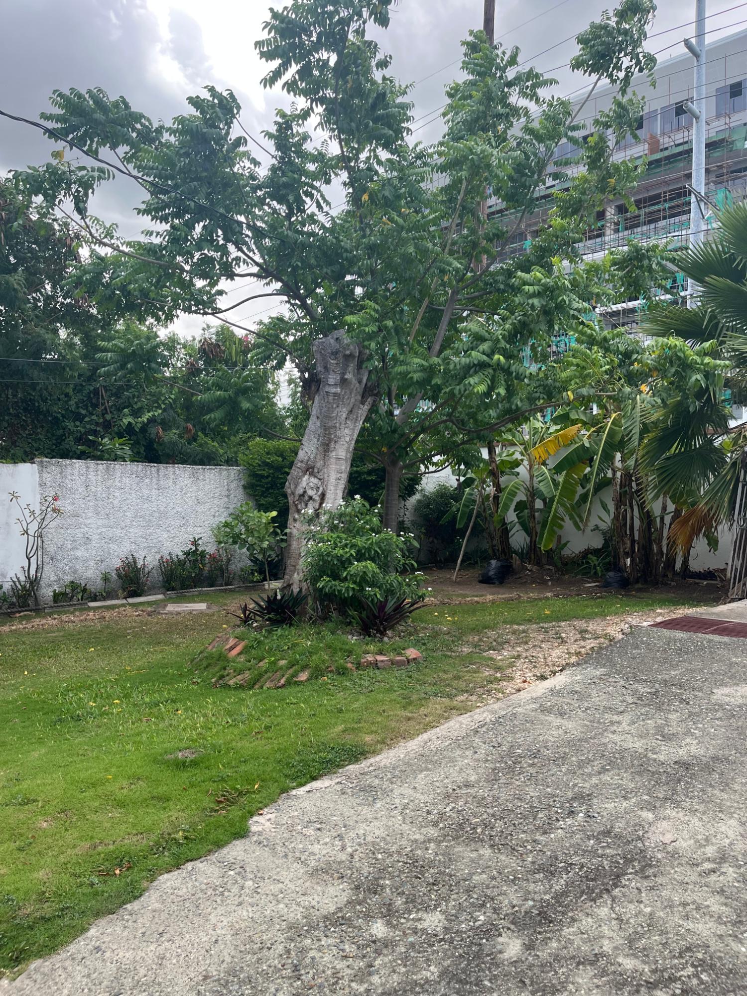 Sixteenth image of 13a Kingsway in Kingston 10, St. Andrew, Jamaica - property is For Rent