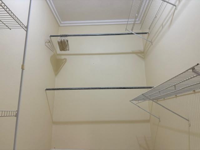 Twenty-Second image of 4 Fred Sarah Close, Bogue h in Bogue, St. James, Jamaica - property is For Rent